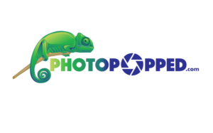Logo Design by artistraman
