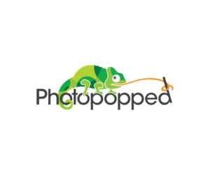 Logo Design by Elim