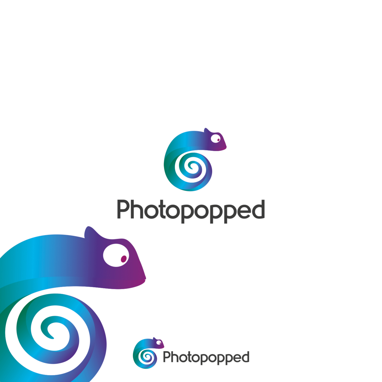 Logo Design by CSARTWORK for this project | Design #8017149