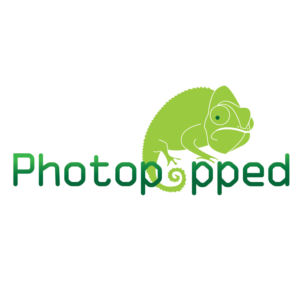 Design Image