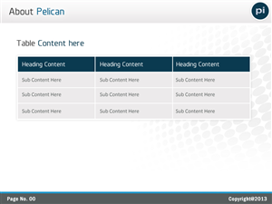 PowerPoint Design by Best Design Hub for Pelican Imaging | Design: #1976325