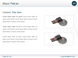 PowerPoint Design by Best Design Hub for Pelican Imaging | Design: #1976327