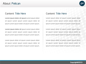 PowerPoint Design by Best Design Hub for Pelican Imaging | Design: #1976335