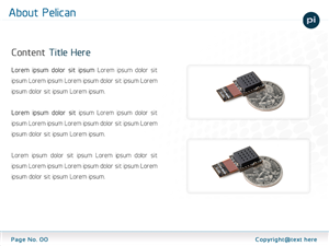 PowerPoint Design by Best Design Hub for Pelican Imaging | Design: #1976378