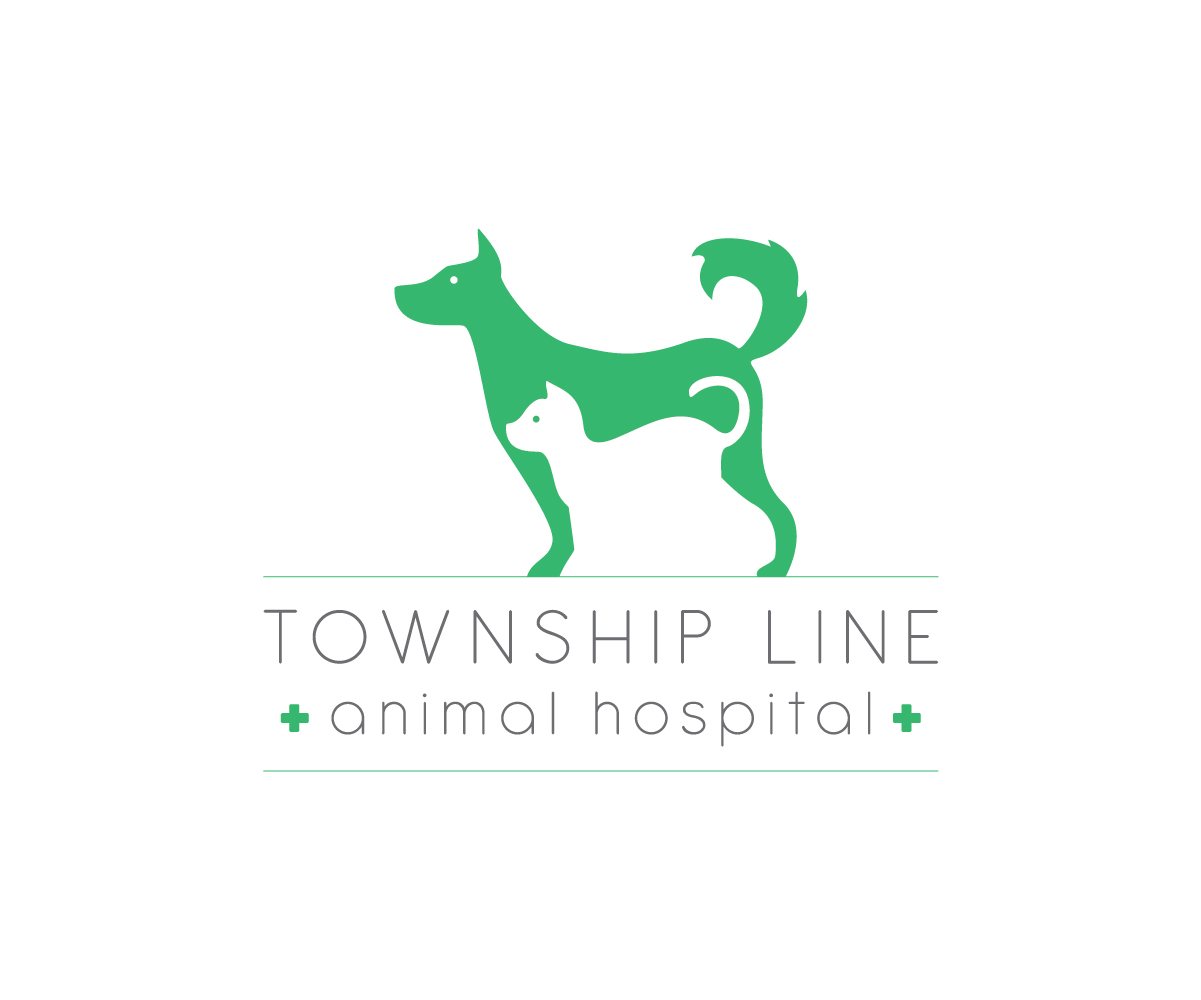 Logo Design by Irina Makedonska for this project | Design #7950707