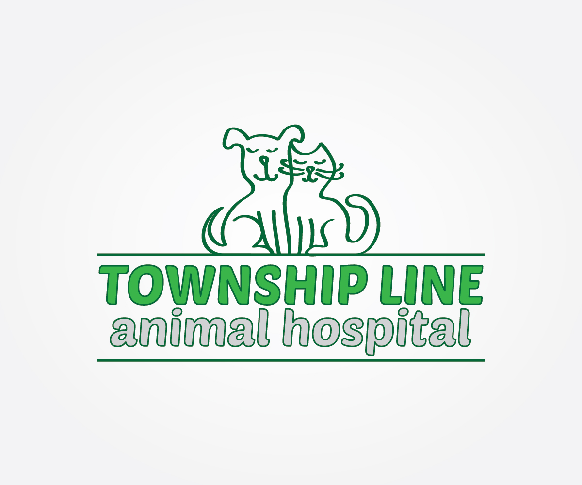 Logo Design by Irina Makedonska for this project | Design #7950709