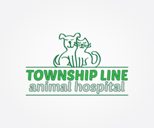 Logo Design by Irina Makedonska for this project | Design: #7950709