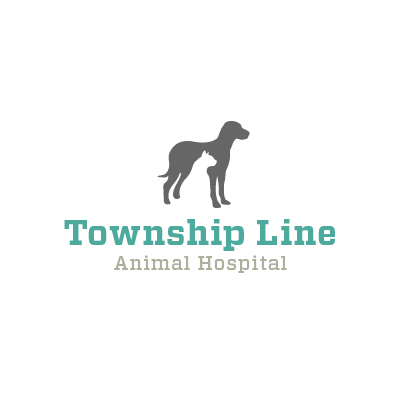 Logo Design by KevinMiller for this project | Design #7877004