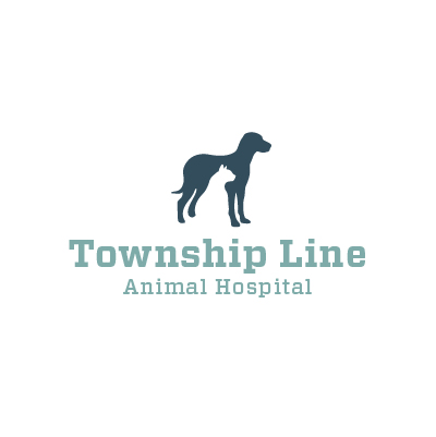 Logo Design by KevinMiller for this project | Design #7888856
