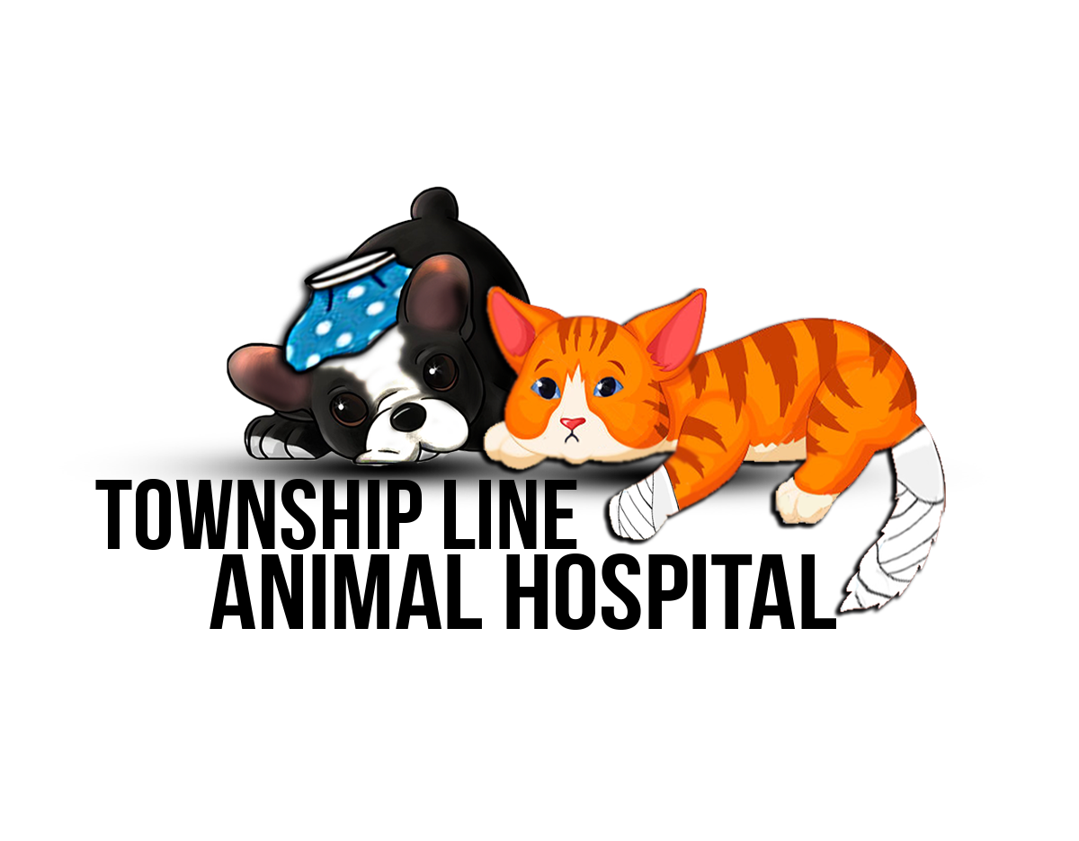 Logo Design by jill_mergendahl for this project | Design #7900852