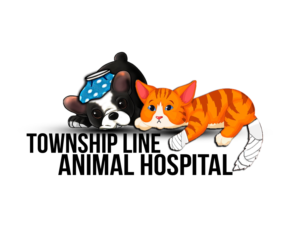 Logo Design by jill_mergendahl for this project | Design: #7900852