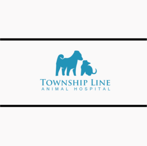 Logo Design by Tere G artwork for this project | Design: #7928185