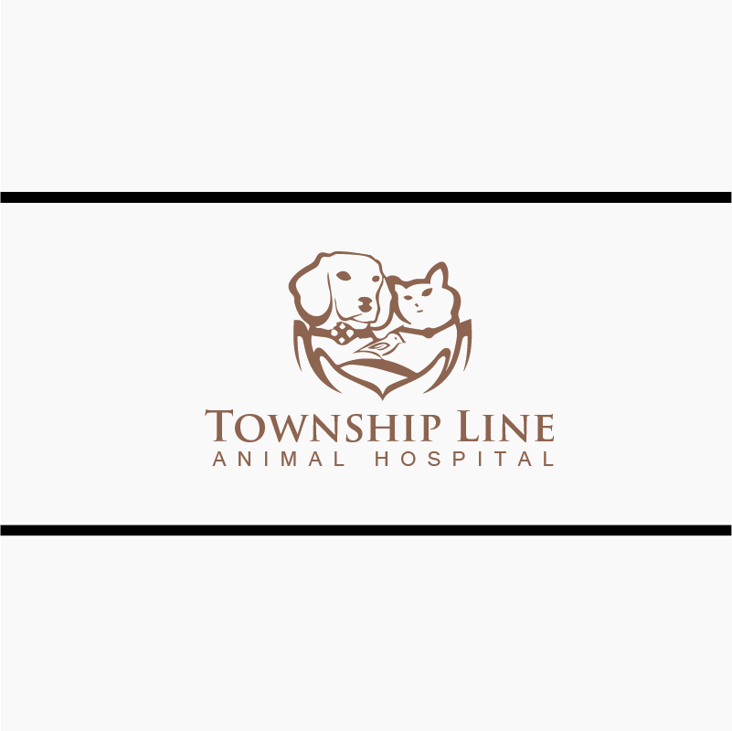 Logo Design by Tere G artwork for this project | Design #7928187