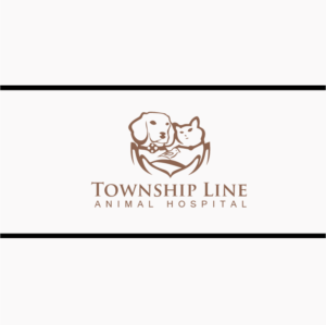 Logo Design by Tere G artwork for this project | Design: #7928187
