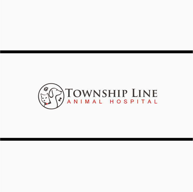 Logo Design by Tere G artwork for this project | Design #7928188