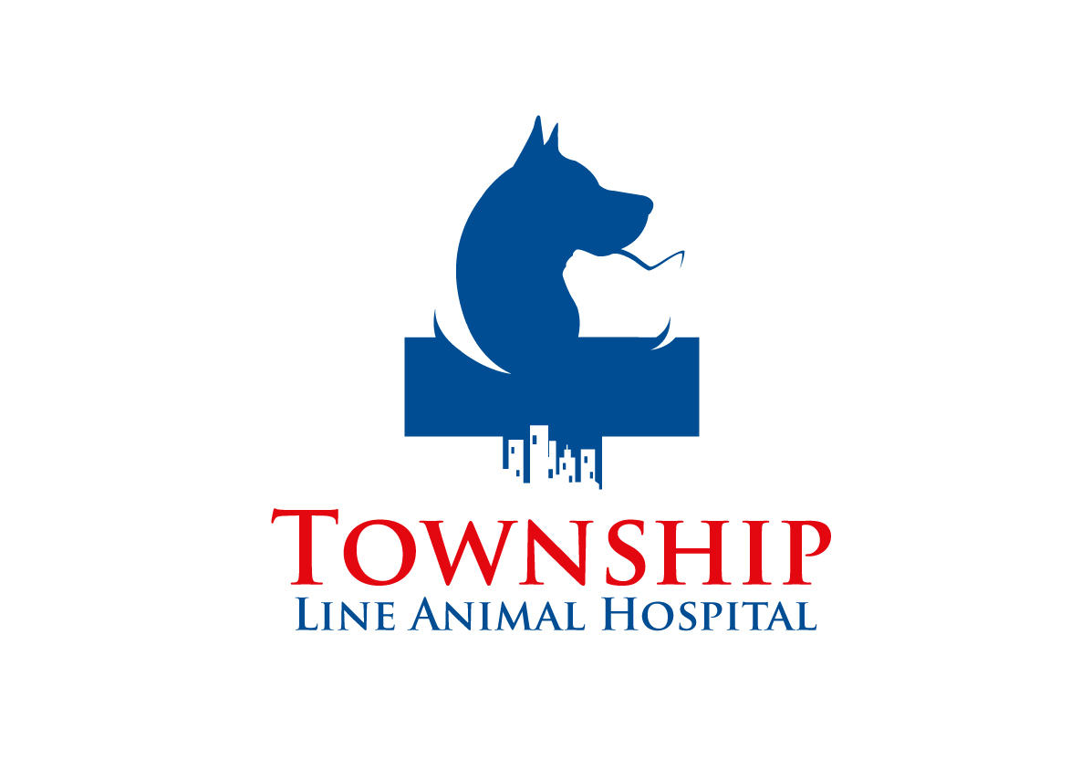 Logo Design by creative.bugs for this project | Design #7875779