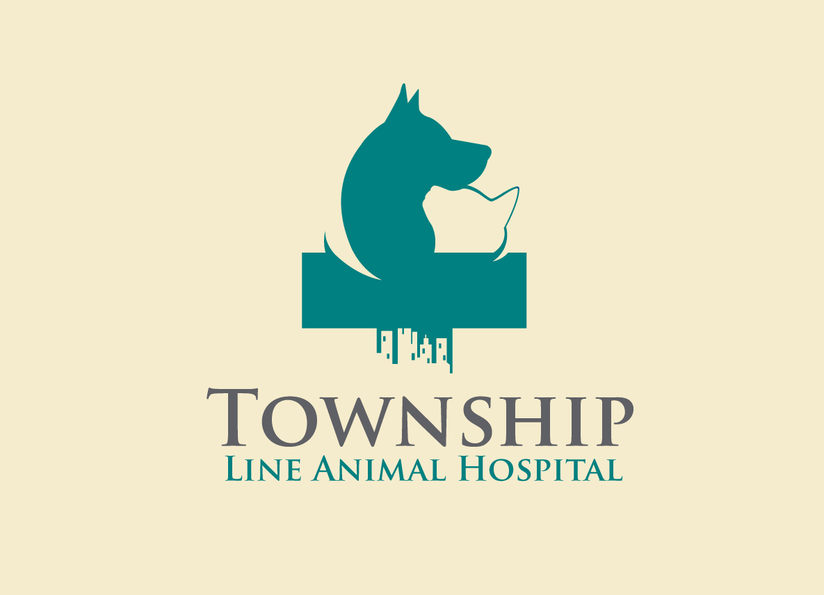 Logo Design by creative.bugs for this project | Design #7883049