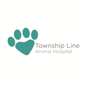 Logo Design by johnnyandpaul