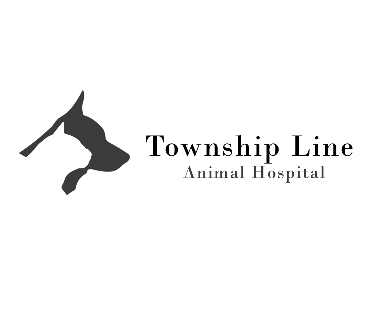Logo Design by Romualdas Jurgaitis for this project | Design #7970345