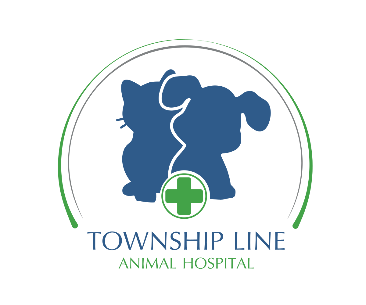 Logo Design by IF for this project | Design #7969570