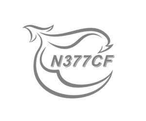 Logo Design by WVoodoo