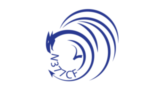 Diseño de Logo por Aeidan para este proyecto | Diseño: #7878524