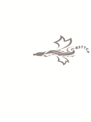 Logo Design by zainulabdinabbasi7