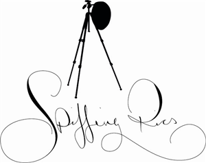 Logo-Design von Colin Gibson für dieses Projekt | Design: #1994366