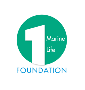 Logo Design by Halfull Media for this project | Design: #7911519