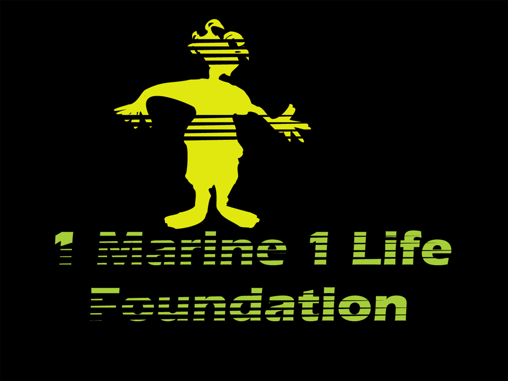 Logo Design by shafrazmohamed106 for this project | Design #7970445