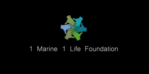 Logo Design by Sindhu Sharon D for this project | Design #7911515