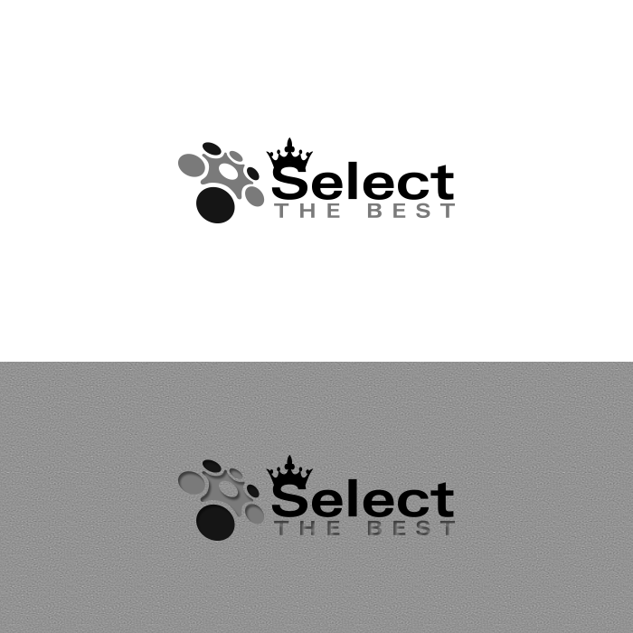 Logo Design by ApurbaMan for Selector Pty Ltd | Design #7968539