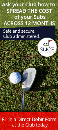 Design de Bannière  par Kristina Andonoff pour Pricap Services Pty Ltd | Design #8012508