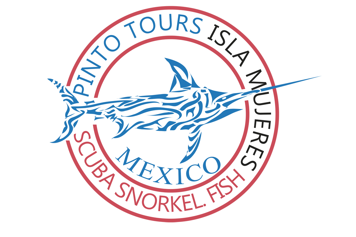 Logo Design by nanocb72 for this project | Design #7879689