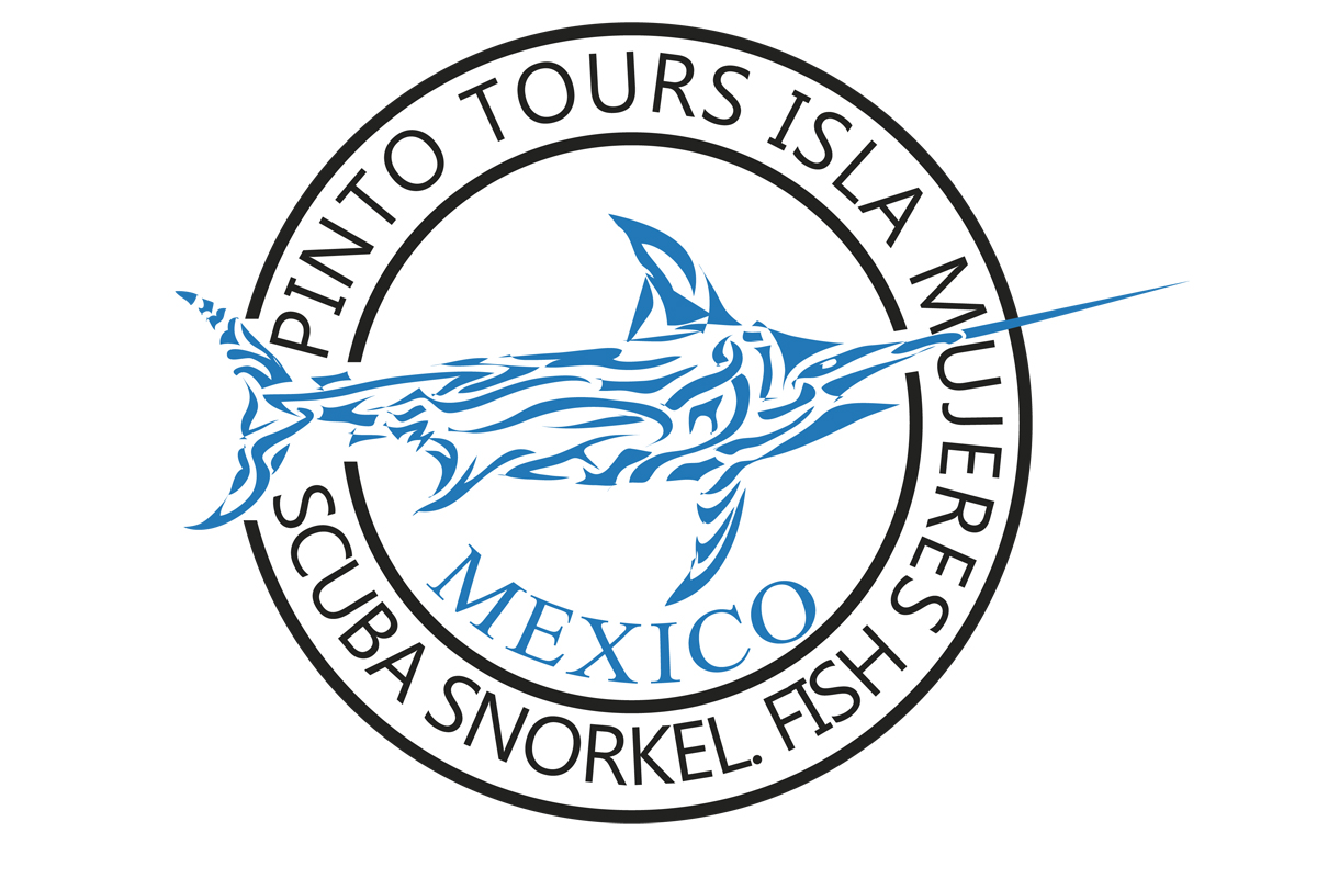 Logo Design by nanocb72 for this project | Design #7880322