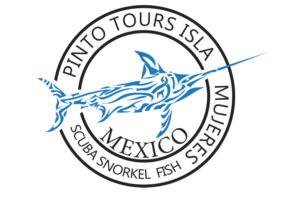 Logo Design by nanocb72 for this project | Design: #7905958