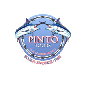 Logo Design by louiemagno2005 for this project | Design: #7891691