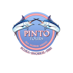 Logo Design by louiemagno2005 for this project | Design: #7891693