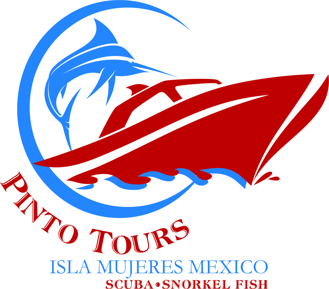 Logo Design by Sandro for this project | Design #7885647