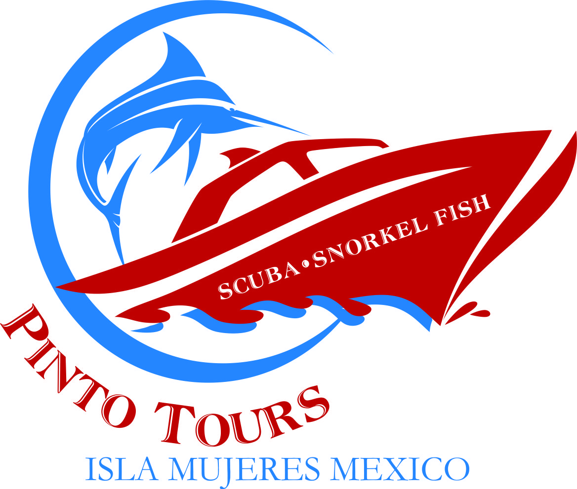Design de Logo par Sandro pour ce projet | Design #7886969