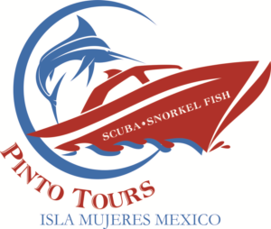 Logo Design by Sandro for this project | Design: #7886969