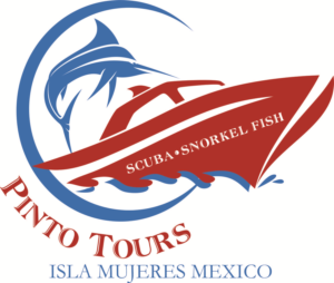 Logo Design by Sandro for this project | Design: #7887041