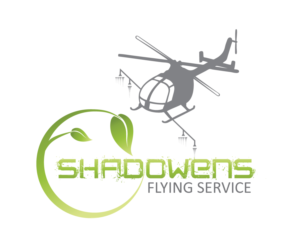 Logo Design by tweetydesigner
