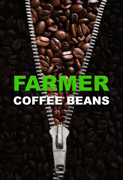 Broschüren-Design von Kseniia für dieses Projekt | Design #9187327