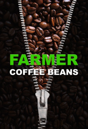 Brochure Design by Kseniia