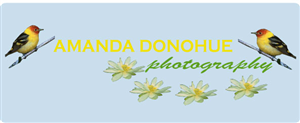 Logo Design by carole87 for this project | Design: #1953195