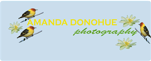 Logo Design by carole87 for this project | Design: #1953222