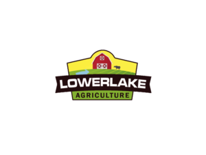 Logo Design by singularity D