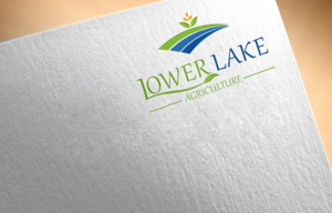 Logo Design by colour splash