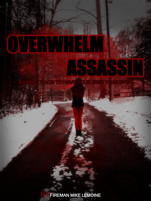 Book Cover Design by abdulrhman for Maverick Web Video | Design: #1945901